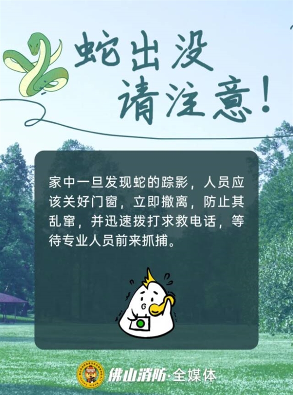 佛山一公园树上惊现2米长巨蟒：被消防员捕获后重归山林