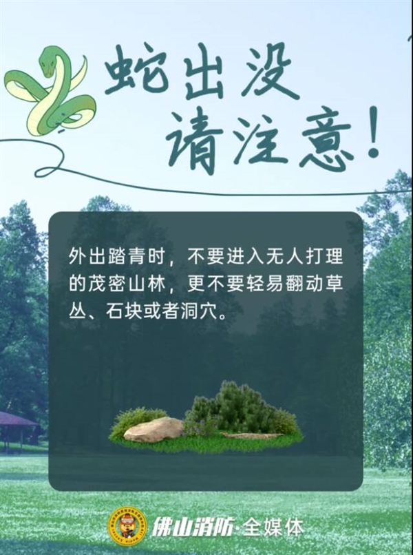 佛山一公园树上惊现2米长巨蟒：被消防员捕获后重归山林