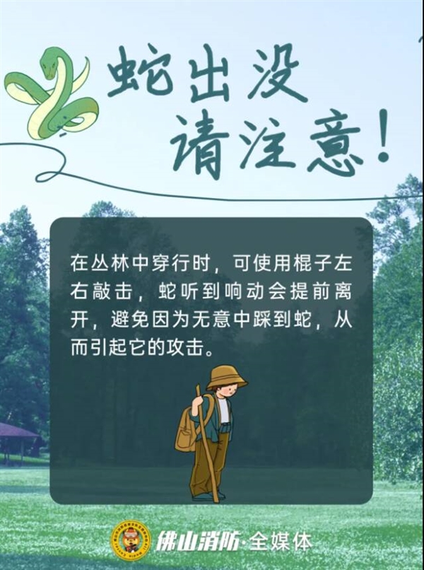 佛山一公园树上惊现2米长巨蟒：被消防员捕获后重归山林