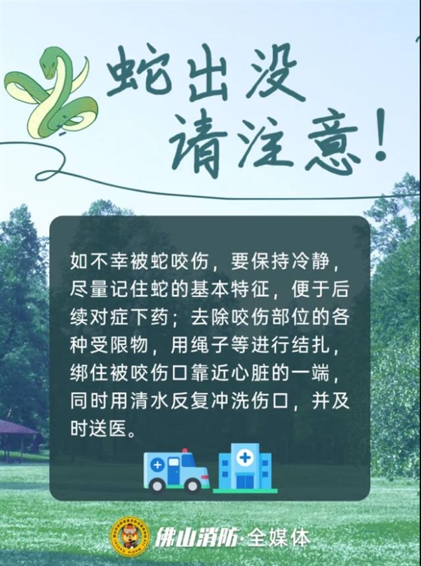 佛山一公园树上惊现2米长巨蟒：被消防员捕获后重归山林