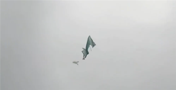 成都雷暴天气有人称拍到“真龙” 专家：只是简单的闪电