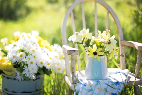 世界首台！自动巡航杂交授粉育种机器人“吉儿”诞生