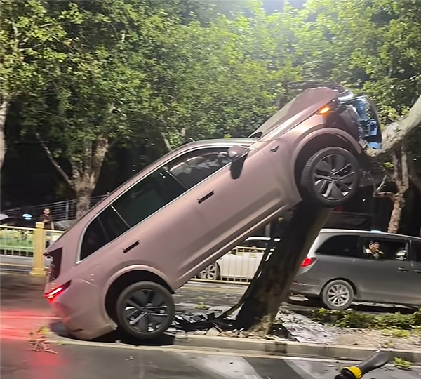 疑疲劳驾驶 一女子凌晨时分将理想汽车开上树：万幸人无碍