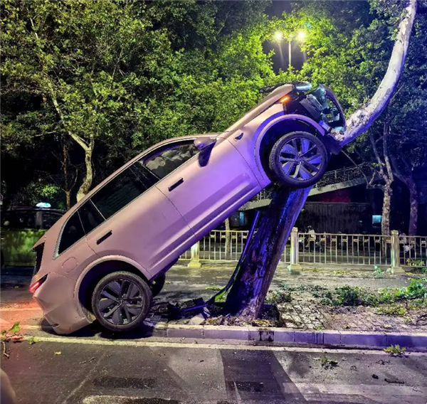 疑疲劳驾驶 一女子凌晨时分将理想汽车开上树：万幸人无碍