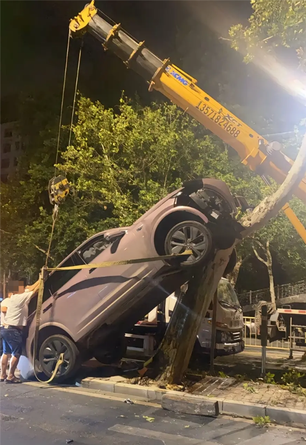 疑疲劳驾驶 一女子凌晨时分将理想汽车开上树：万幸人无碍