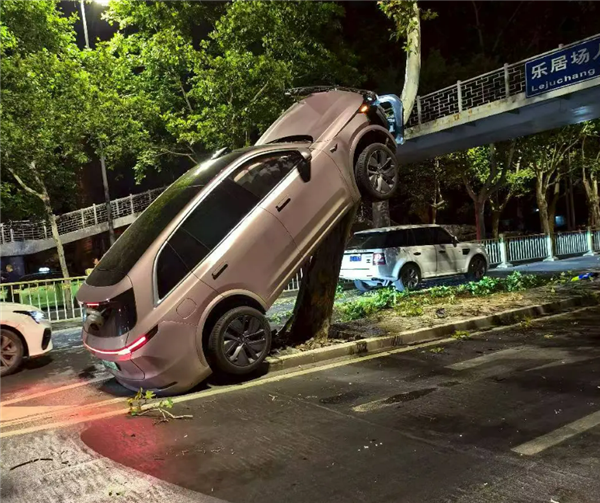 疑疲劳驾驶 一女子凌晨时分将理想汽车开上树：万幸人无碍