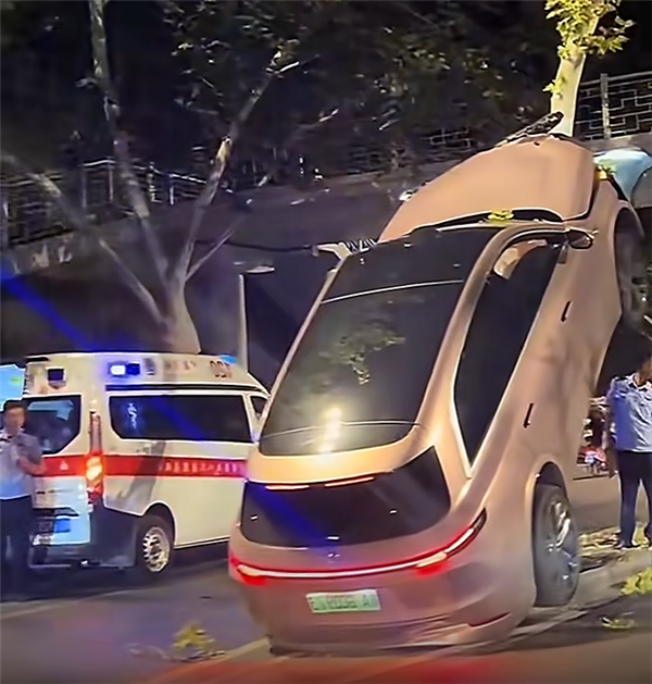 疑疲劳驾驶 一女子凌晨时分将理想汽车开上树：万幸人无碍