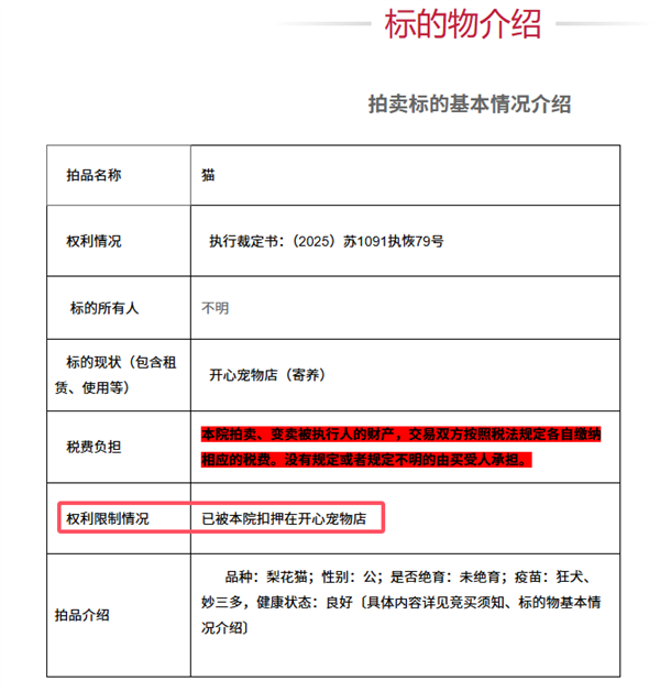 500元起拍的“抵债猫”火了：2600人竞拍 25万人围观