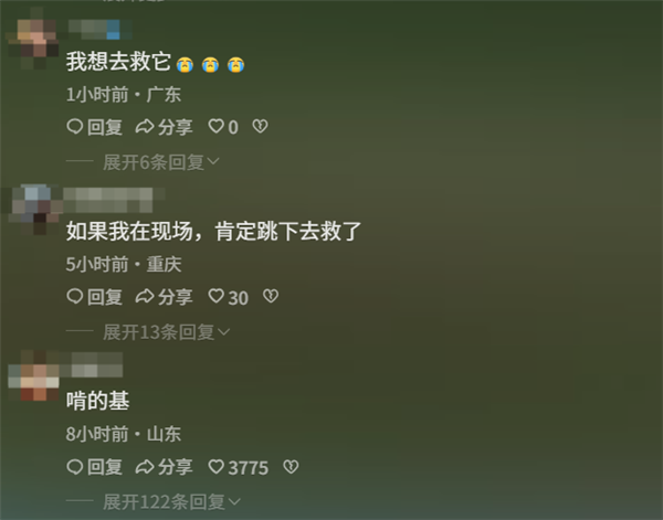 青海一动物园狸花猫误入虎园被咬死 园方回应：非人为携带