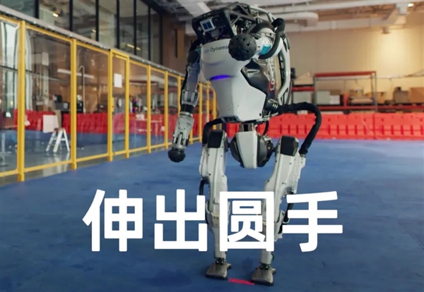 一只手比整个人还贵 手艺活为啥这么难