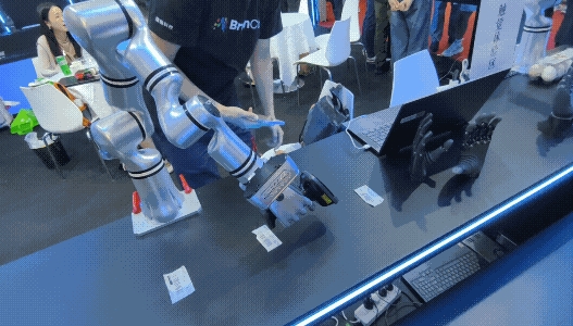 一只手比整个人还贵 手艺活为啥这么难