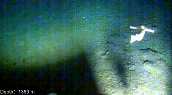 无惧高压极端环境！我国软体机器人挺进4070米深海