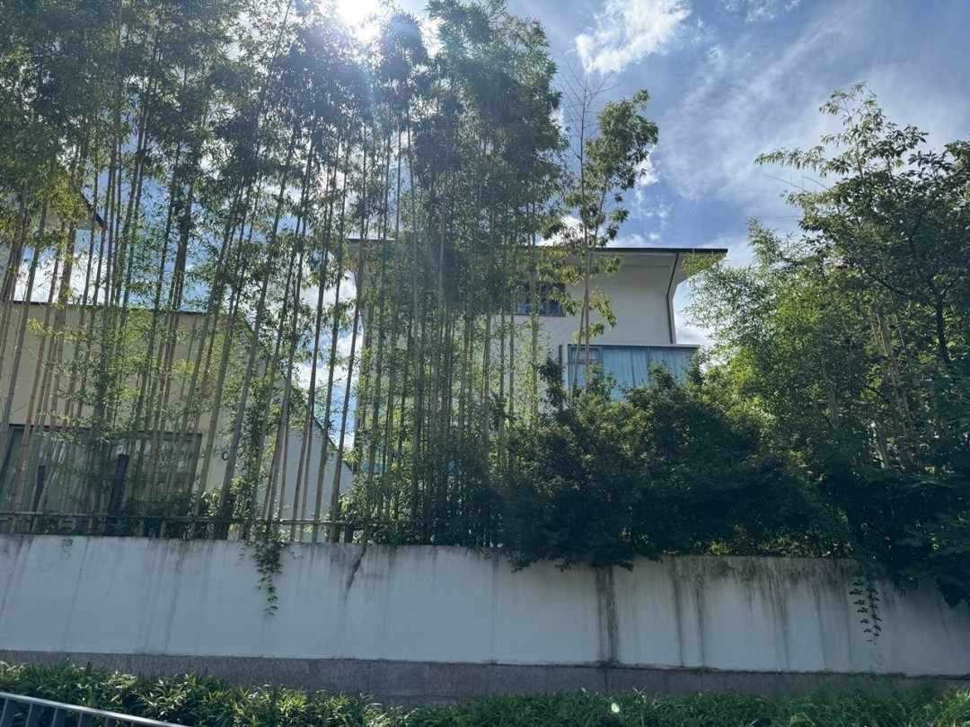 非必要不会面 韩媒曾欲拜访《黑神话》工作室被婉拒