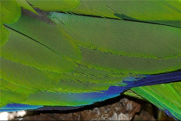 拍照时最讨厌的“摩尔纹” 竟是纸币防伪“黑科技”