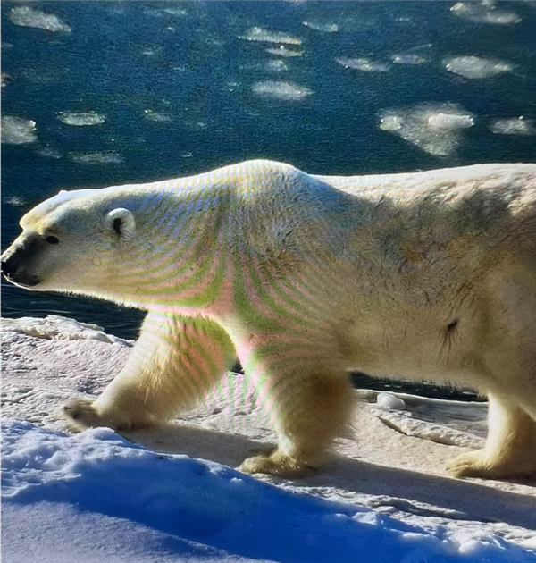 拍照时最讨厌的“摩尔纹” 竟是纸币防伪“黑科技”