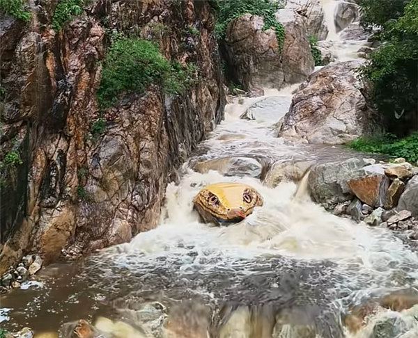 河南一景点石头被彩绘成巨型蛇头 栩栩如生 让人心惊