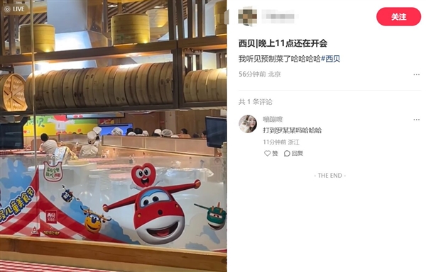 罗永浩直播谈预制菜：今天几乎没人骂我 我不习惯 你们骂骂我吧