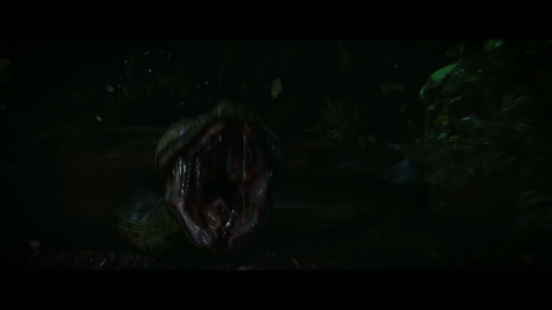 《新狂蟒之灾》首曝中字预告 12月25日上映