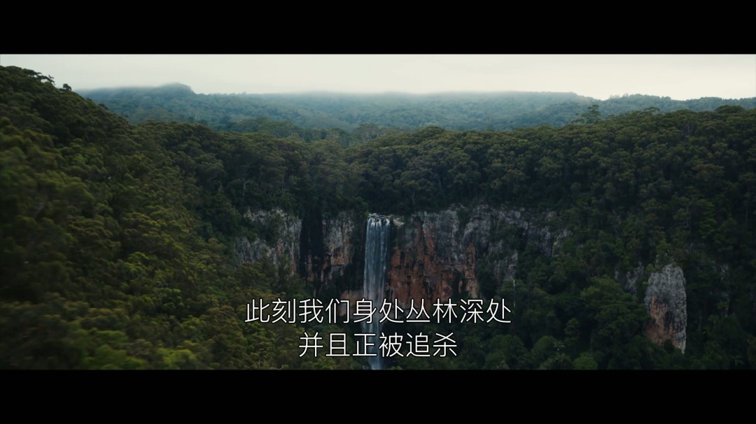 《新狂蟒之灾》首曝中字预告 12月25日上映