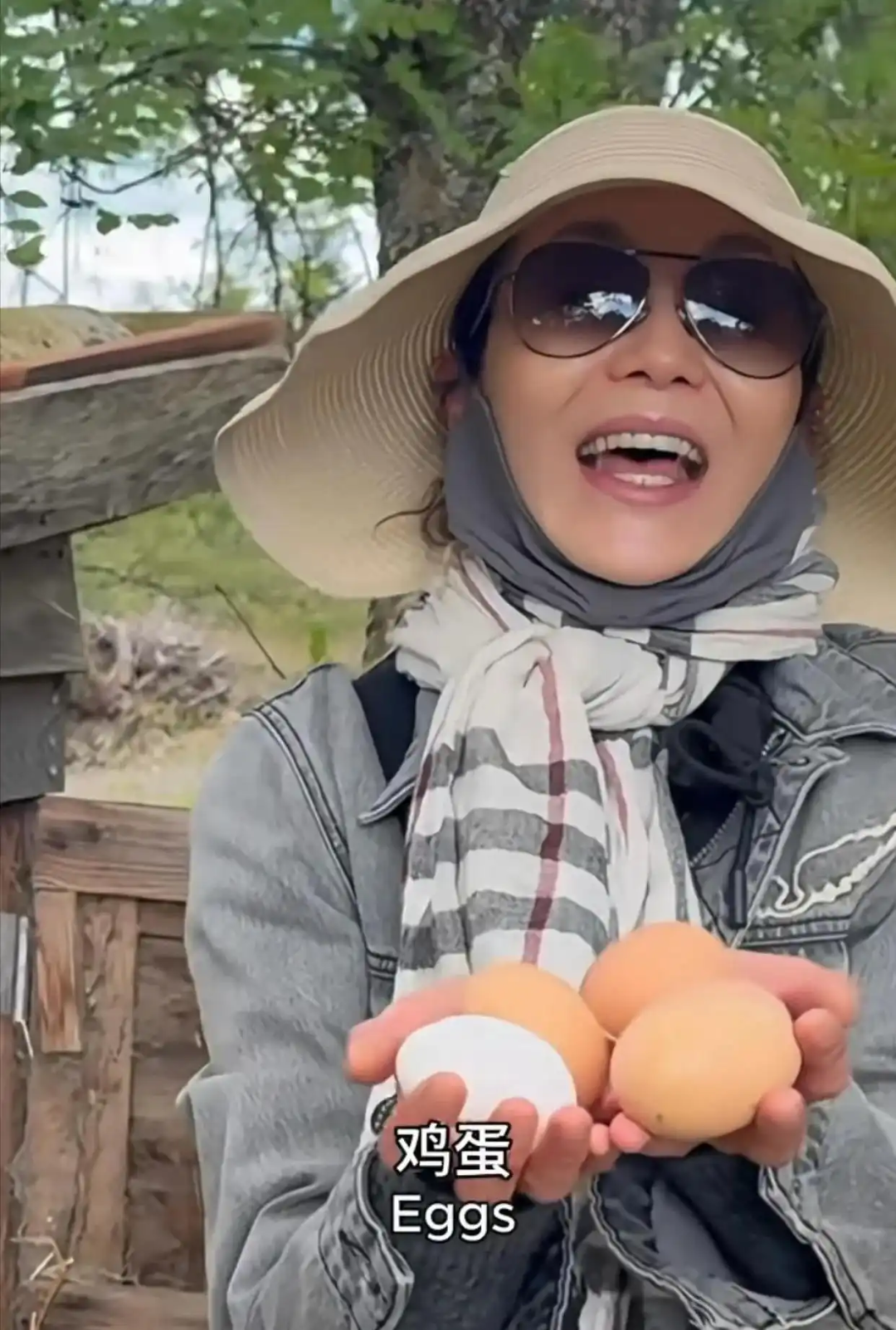 张曼玉分享法国农村生活日常：养鸡种地 捡鸡蛋